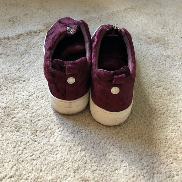 Steve Madden Velvet Sneaker - Picture 4 of 6